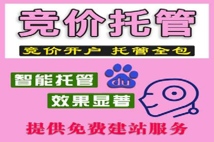 某sem公司广告策略大揭秘